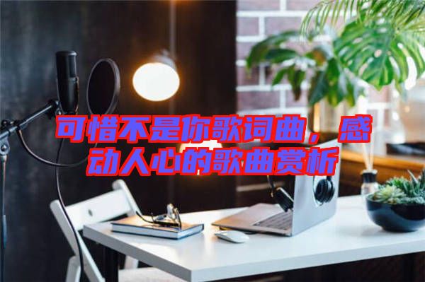 可惜不是你歌詞曲，感動人心的歌曲賞析