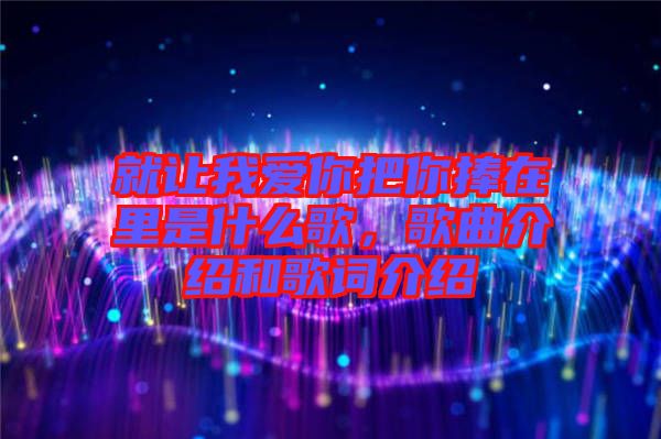 就讓我愛(ài)你把你捧在里是什么歌，歌曲介紹和歌詞介紹