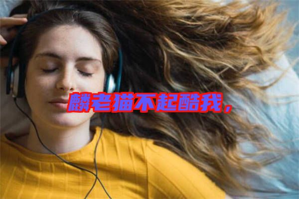 麟老貓不起酷我，