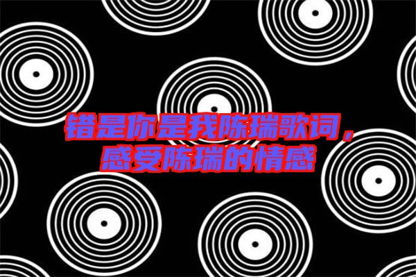 錯是你是我陳瑞歌詞，感受陳瑞的情感