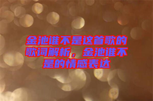 金池誰不是這首歌的歌詞解析，金池誰不是的情感表達(dá)