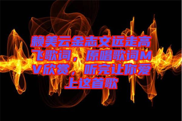 賴美云金志文遠走高飛歌詞，原唱歌詞MV欣賞，聽完讓你愛上這首歌
