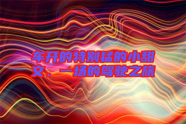 車開(kāi)的特別猛的小甜文，一場(chǎng)的駕駛之旅