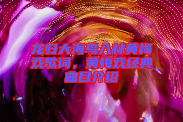 龍歸大海鳥入林黃梅戲歌詞，黃梅戲經(jīng)典曲目介紹