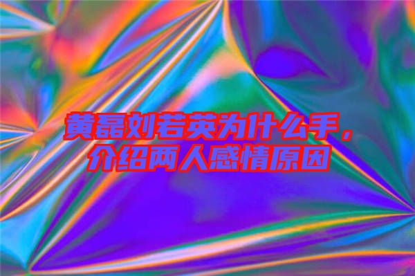 黃磊劉若英為什么手，介紹兩人感情原因