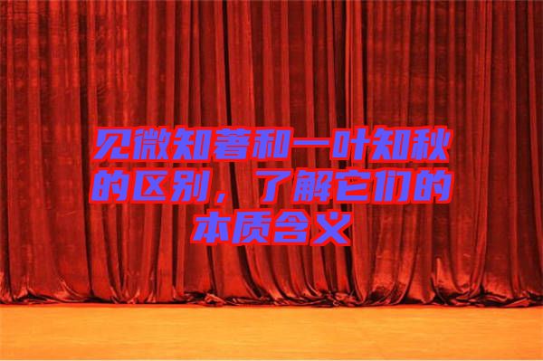見微知著和一葉知秋的區(qū)別，了解它們的本質(zhì)含義