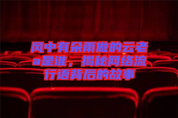 風中有朵雨做的云老a是誰，揭秘網(wǎng)絡流行語背后的故事