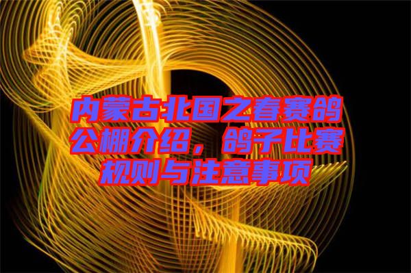 內(nèi)蒙古北國(guó)之春賽鴿公棚介紹，鴿子比賽規(guī)則與注意事項(xiàng)
