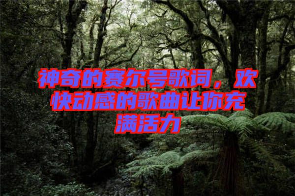 神奇的賽爾號(hào)歌詞，歡快動(dòng)感的歌曲讓你充滿活力