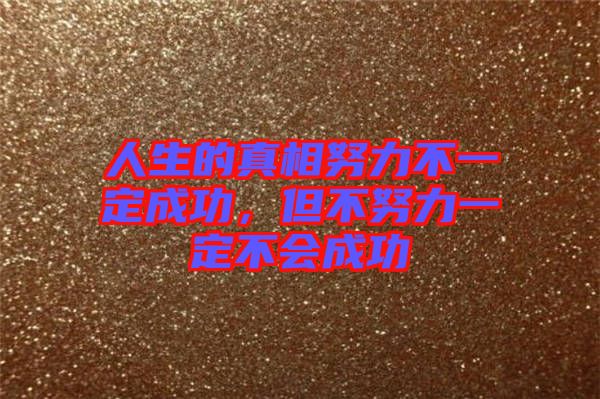 人生的真相努力不一定成功，但不努力一定不會成功