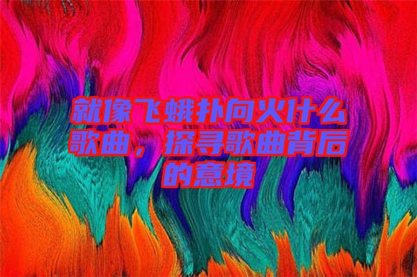 就像飛蛾撲向火什么歌曲，探尋歌曲背后的意境