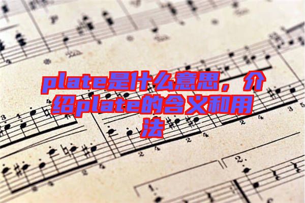 plate是什么意思，介紹plate的含義和用法