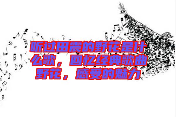 聽(tīng)過(guò)田震的野花是什么歌，回憶經(jīng)典歌曲野花，感受的魅力