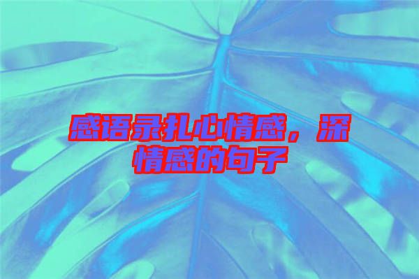 感語(yǔ)錄扎心情感，深情感的句子
