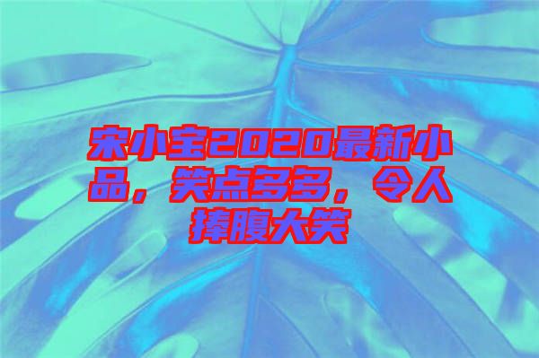 宋小寶2020最新小品，笑點(diǎn)多多，令人捧腹大笑