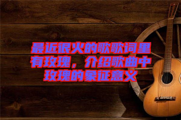 最近很火的歌歌詞里有玫瑰，介紹歌曲中玫瑰的象征意義