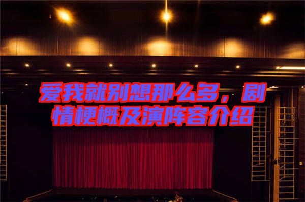愛我就別想那么多，劇情梗概及演陣容介紹