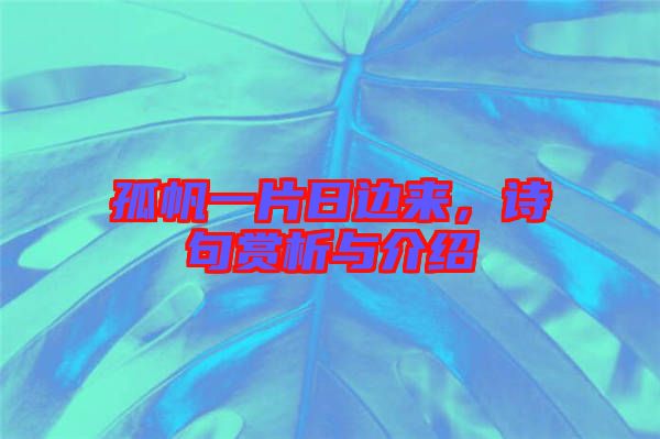 孤帆一片日邊來(lái)，詩(shī)句賞析與介紹