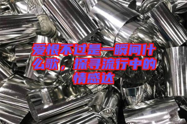 愛恨不過是一瞬間什么歌，探尋流行中的情感達(dá)