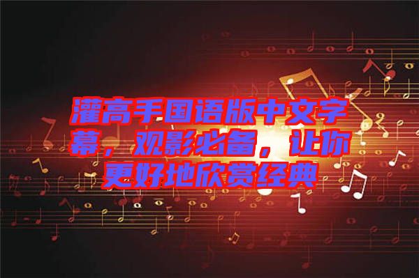 灌高手國語版中文字幕，觀影必備，讓你更好地欣賞經(jīng)典