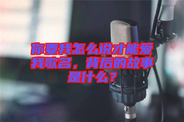 你要我怎么說才能愛我歌名，背后的故事是什么？