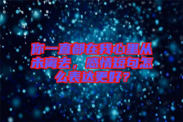 你一直都在我心里從未離去，感情短句怎么表達(dá)更好？