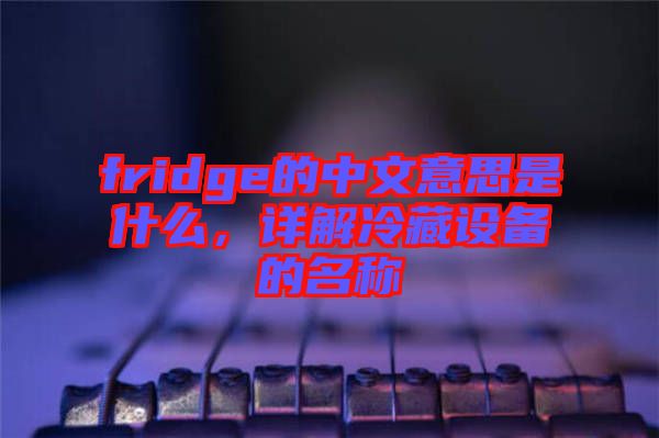 fridge的中文意思是什么，詳解冷藏設備的名稱