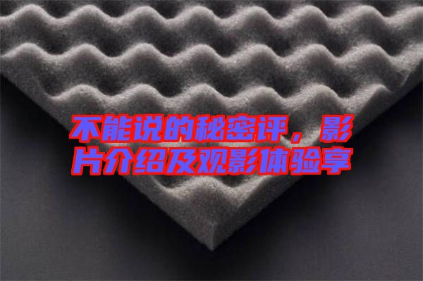 不能說的秘密評(píng)，影片介紹及觀影體驗(yàn)享