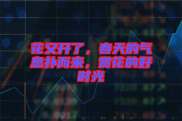 花又開(kāi)了，春天的氣息撲而來(lái)，賞花的好時(shí)光