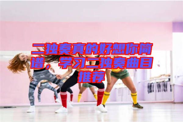 二獨(dú)奏真的好想你簡(jiǎn)譜，學(xué)習(xí)二獨(dú)奏曲目推薦