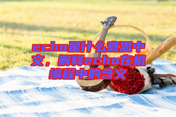 echo是什么意思中文，解釋echo在機(jī)編程中的含義