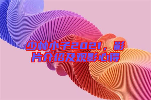 少林小子2021，影片介紹及觀影心得