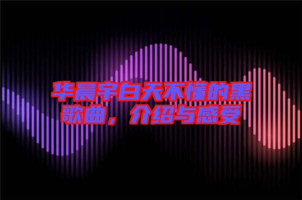 華晨宇白天不懂的黑歌曲，介紹與感受