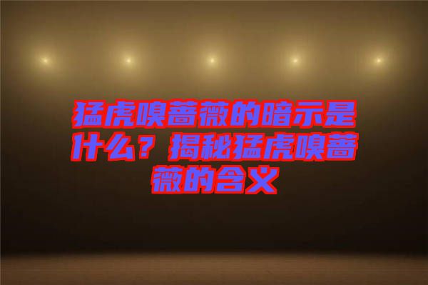 猛虎嗅薔薇的暗示是什么？揭秘猛虎嗅薔薇的含義