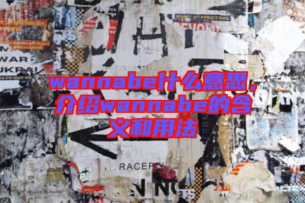 wannabe什么意思，介紹wannabe的含義和用法