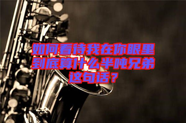 如何看待我在你眼里到底算什么半噸兄弟這句話？