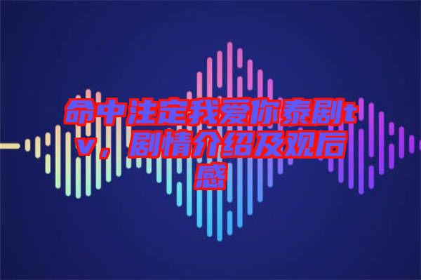 命中注定我愛(ài)你泰劇tv，劇情介紹及觀后感