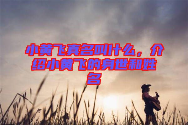 小黃飛真名叫什么，介紹小黃飛的身世和姓名