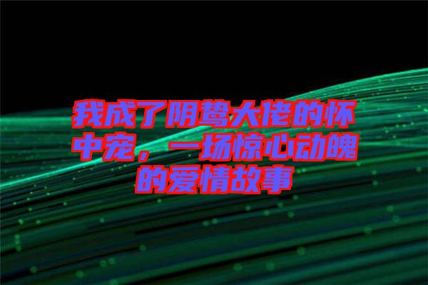 我成了陰鷙大佬的懷中寵，一場(chǎng)驚心動(dòng)魄的愛情故事