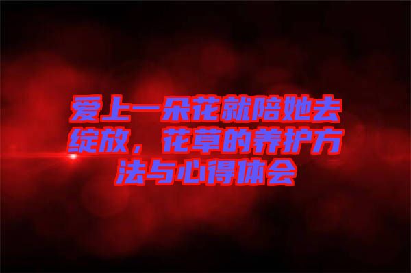 愛上一朵花就陪她去綻放，花草的養(yǎng)護(hù)方法與心得體會