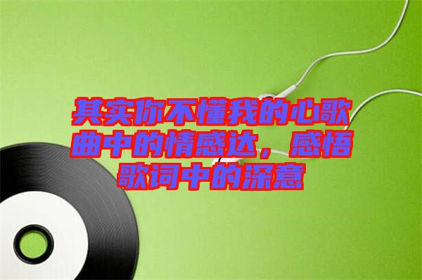 其實你不懂我的心歌曲中的情感達，感悟歌詞中的深意