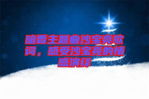 暗香主題曲沙寶亮歌詞，感受沙寶亮的情感演繹