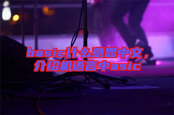 basic什么意思中文，介紹機(jī)語言中asic