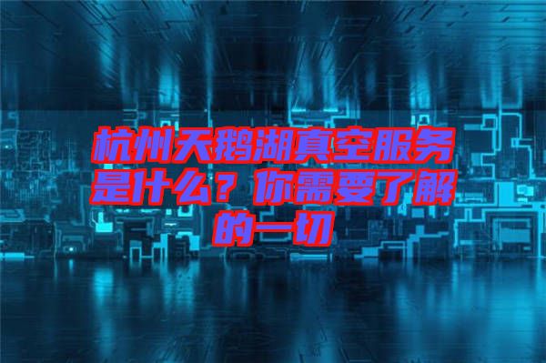 杭州天鵝湖真空服務(wù)是什么？你需要了解的一切