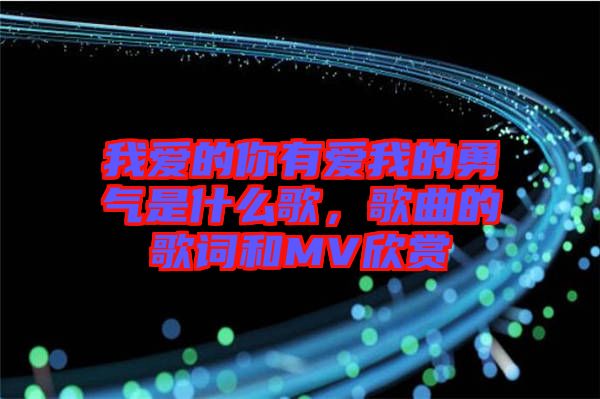 我愛的你有愛我的勇氣是什么歌，歌曲的歌詞和MV欣賞