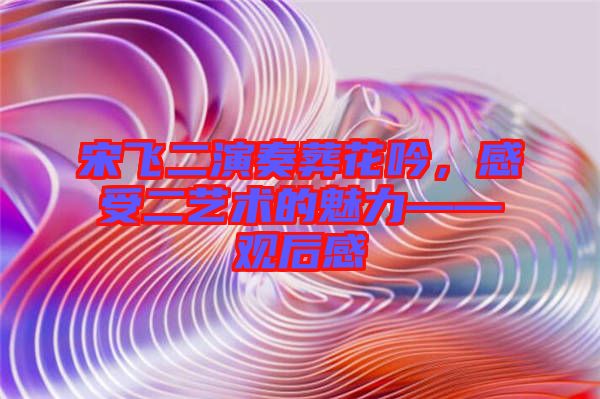 宋飛二演奏葬花吟，感受二藝術(shù)的魅力——觀后感