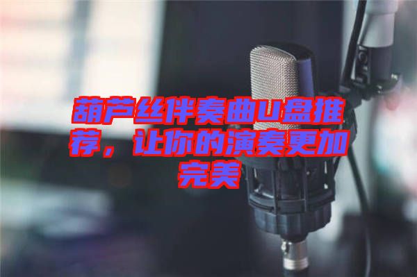 葫蘆絲伴奏曲U盤(pán)推薦，讓你的演奏更加完美