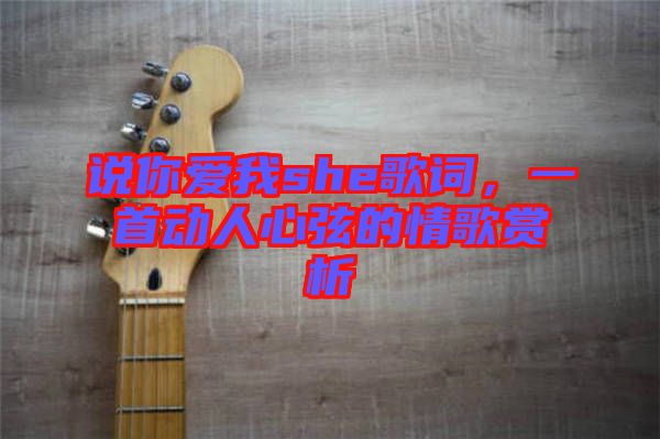 說你愛我she歌詞，一首動人心弦的情歌賞析