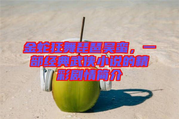 金蛇狂舞琵琶吳蠻，一部經(jīng)典武俠小說的精彩劇情簡介