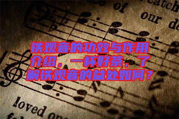 鐵觀音的功效與作用介紹，一杯好茶，了解鐵觀音的益處如何？